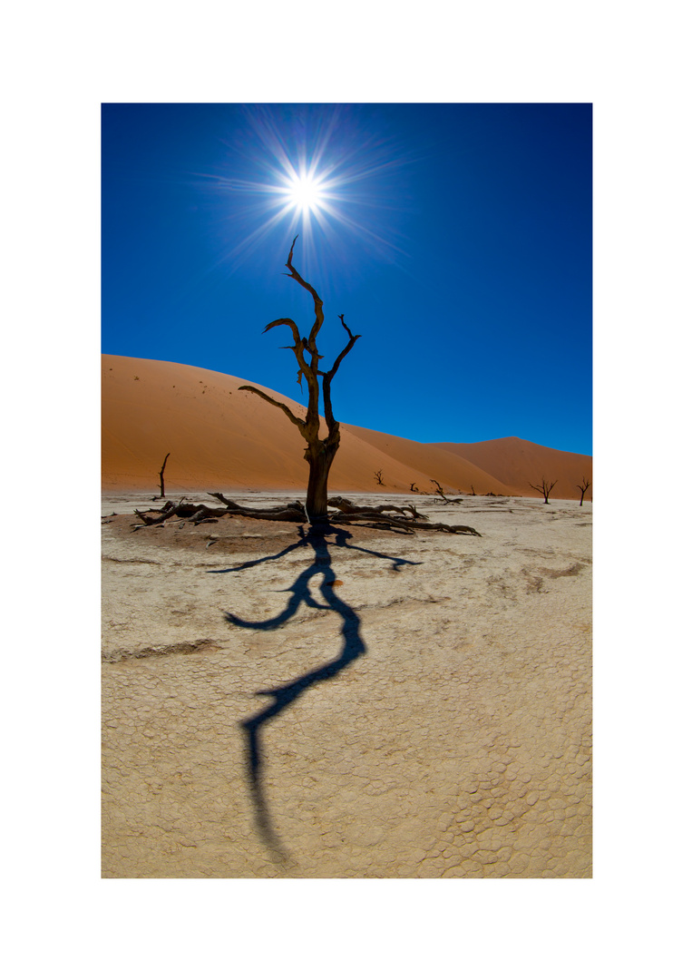 Dead Vlei