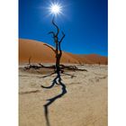 Dead Vlei