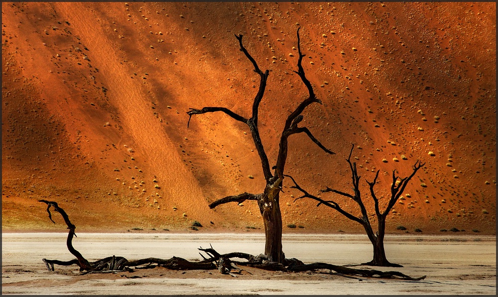 Dead Vlei