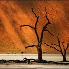 Dead Vlei