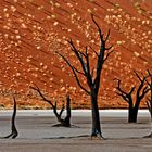 Dead Vlei