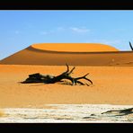 Dead Vlei