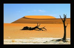 Dead Vlei