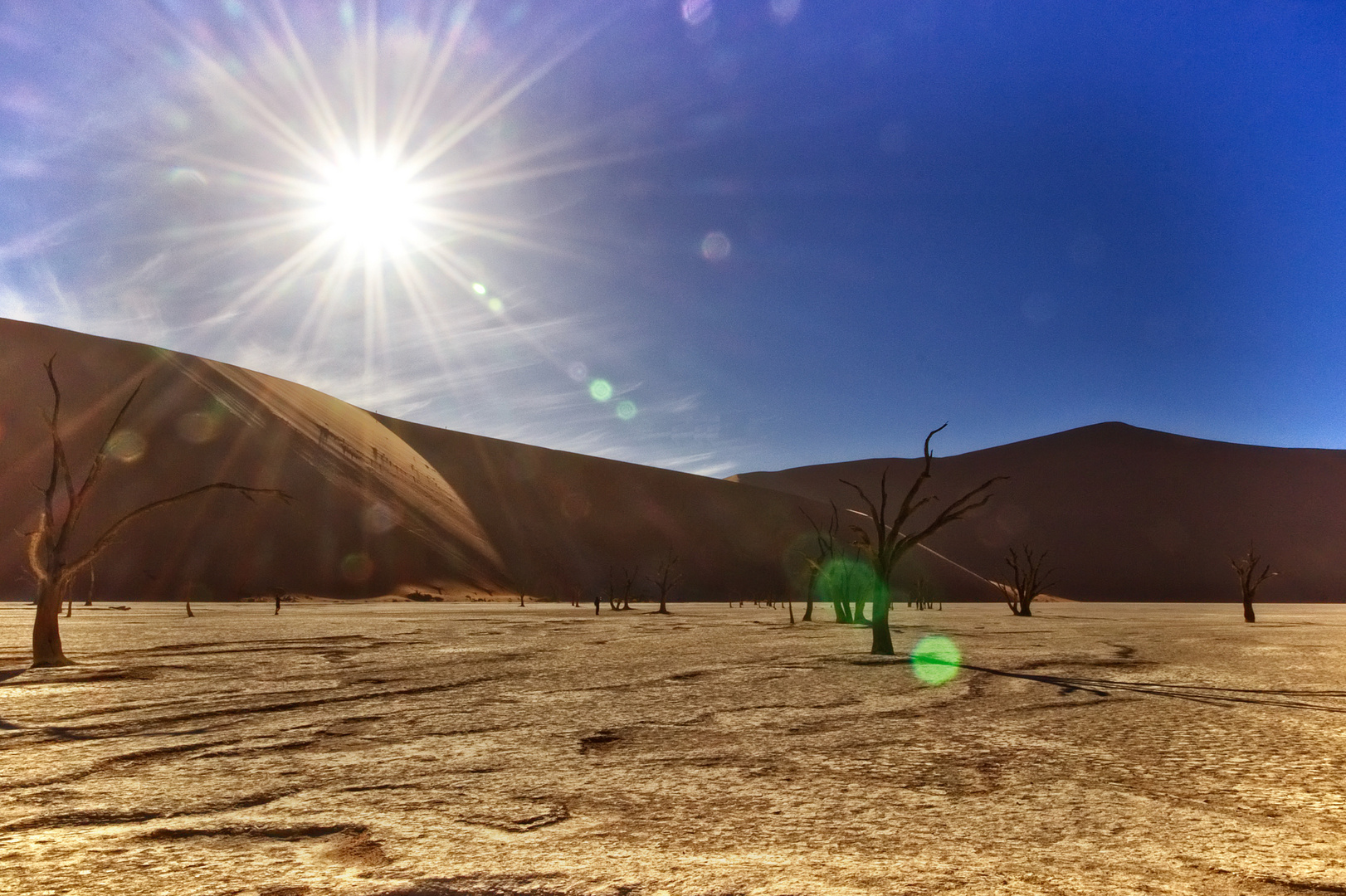 Dead Vlei