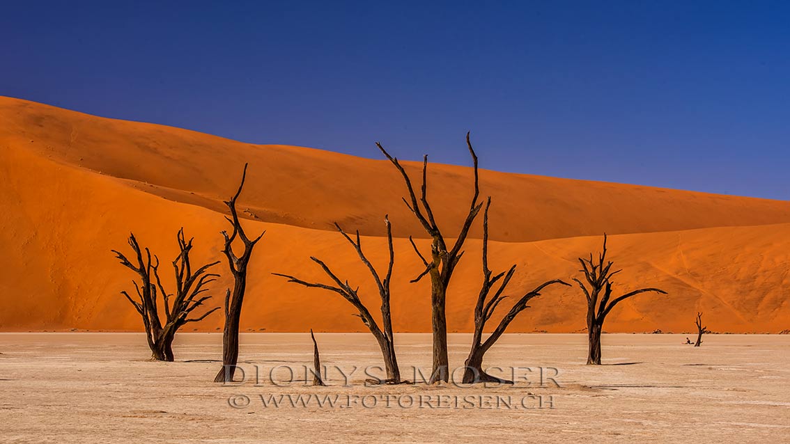 Dead Vlei