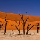 Dead Vlei