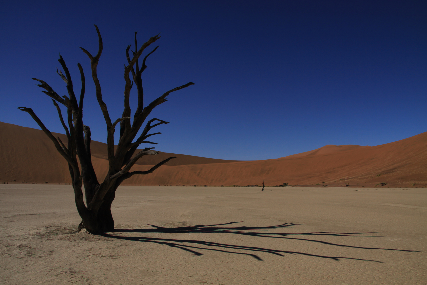 Dead Vlei