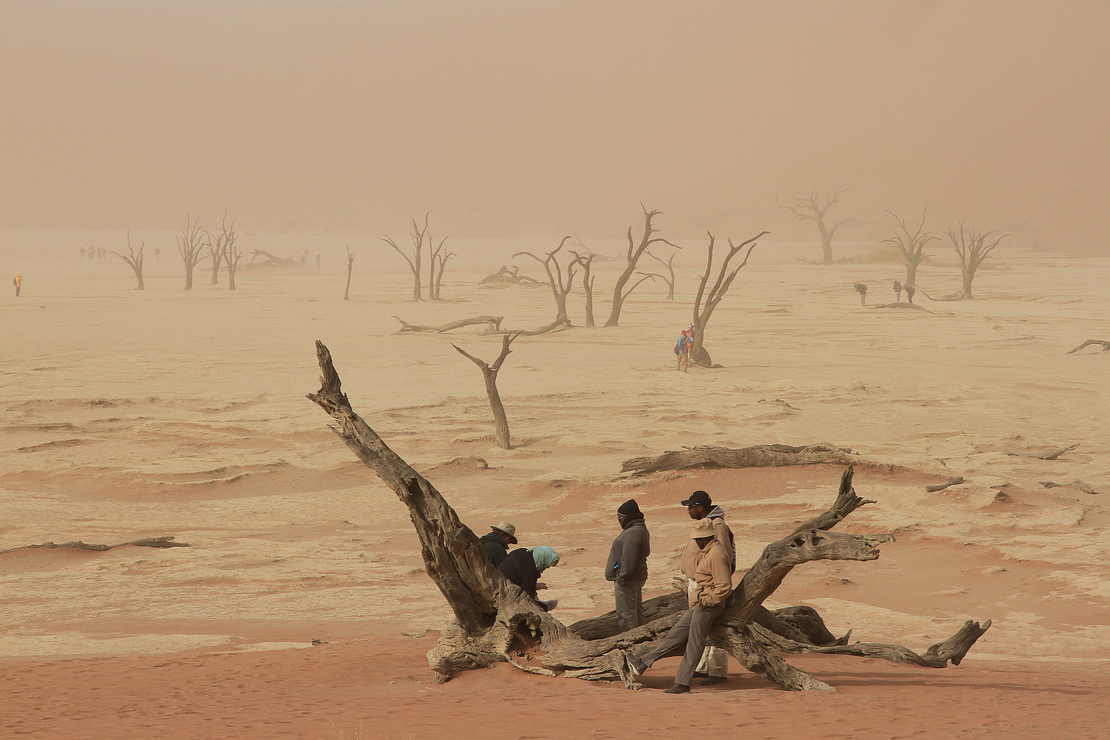 Dead Vlei bei Sandsturm