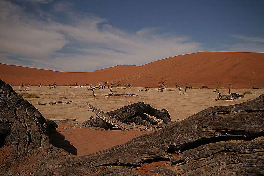 Dead Vlei