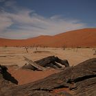 Dead Vlei