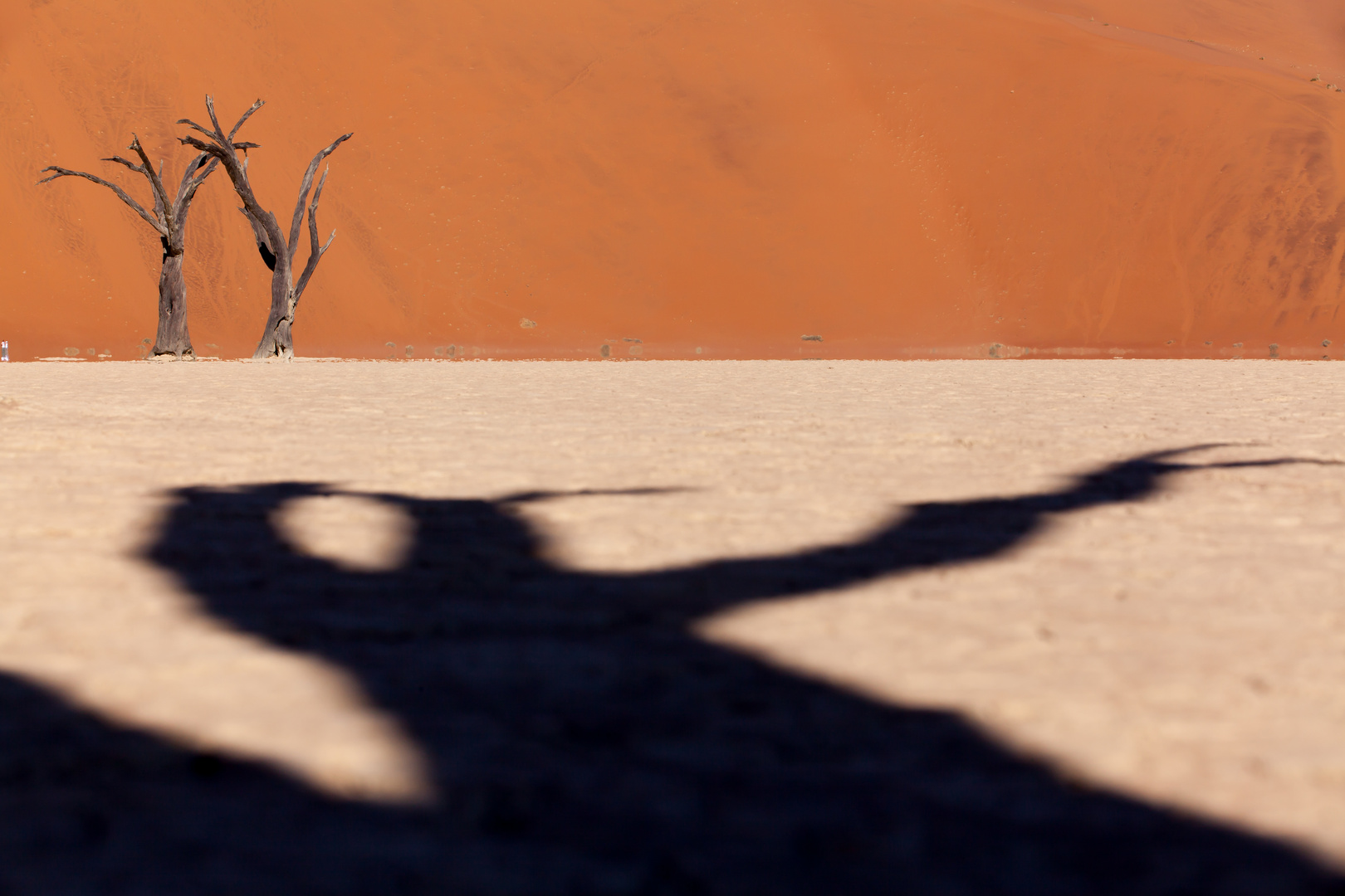 Dead Vlei