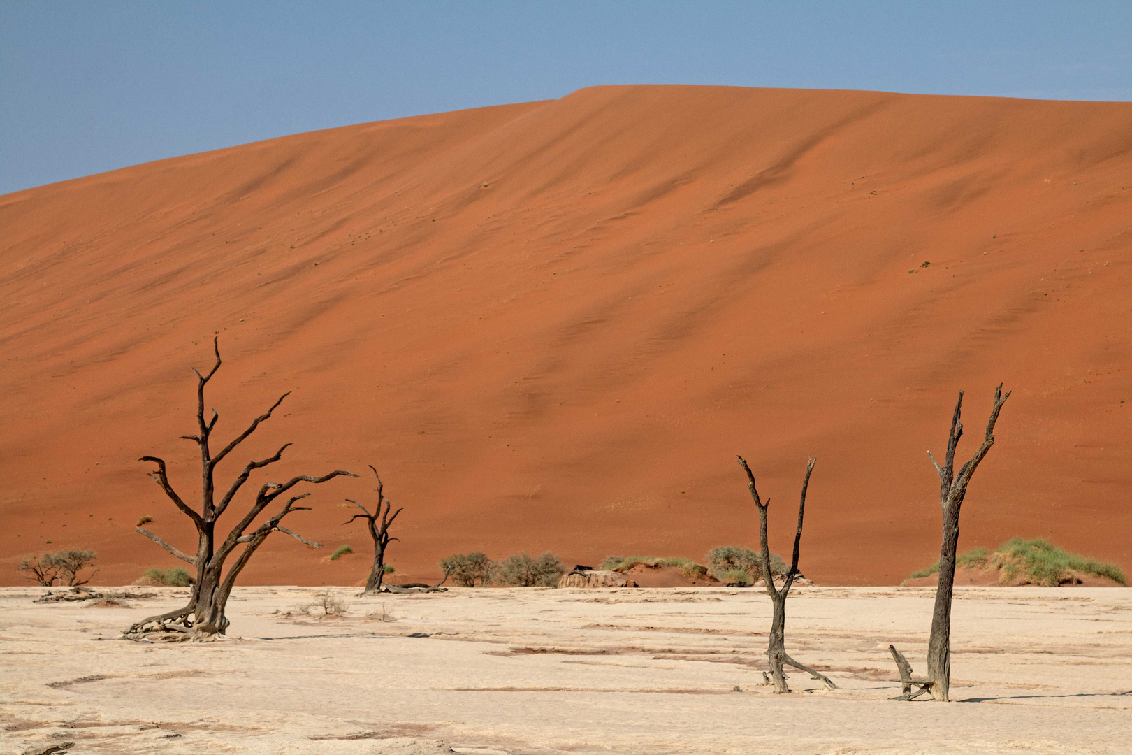 Dead Vlei