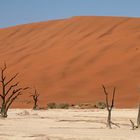 Dead Vlei