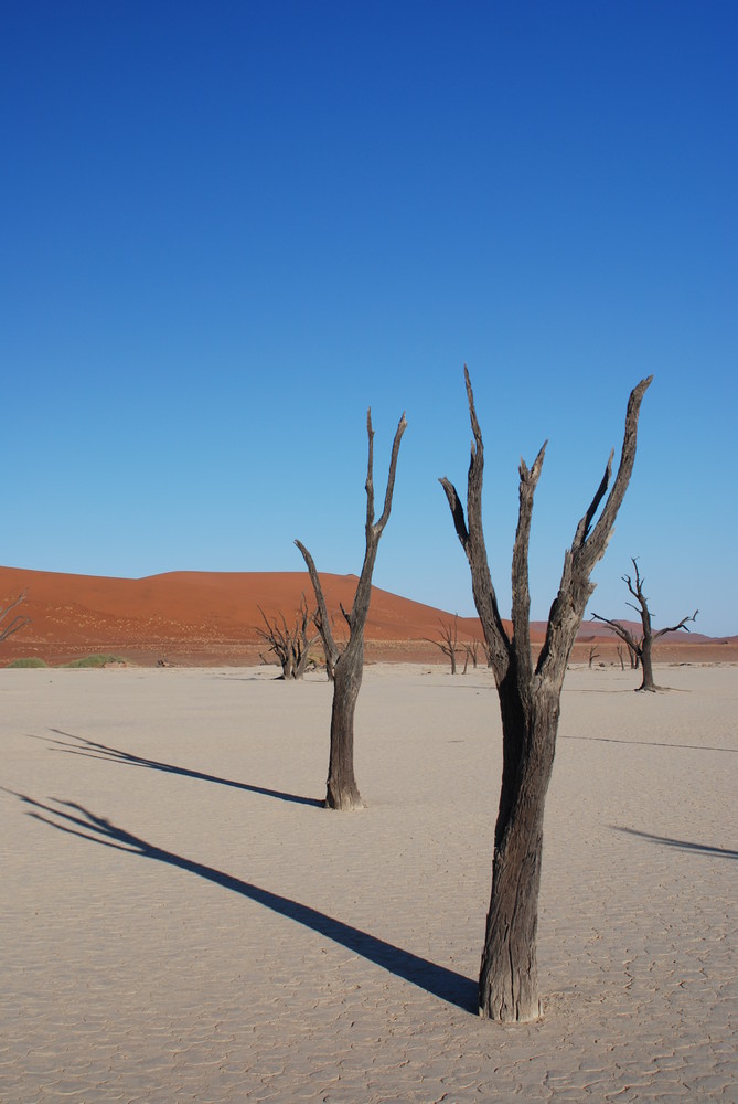 Dead Vlei