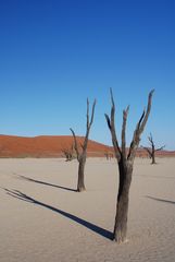 Dead Vlei