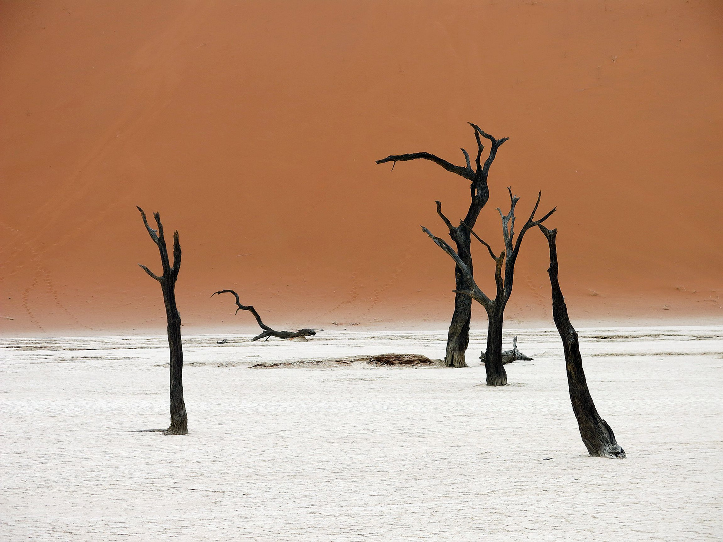 Dead Vlei