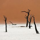 Dead Vlei