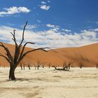 Dead Vlei