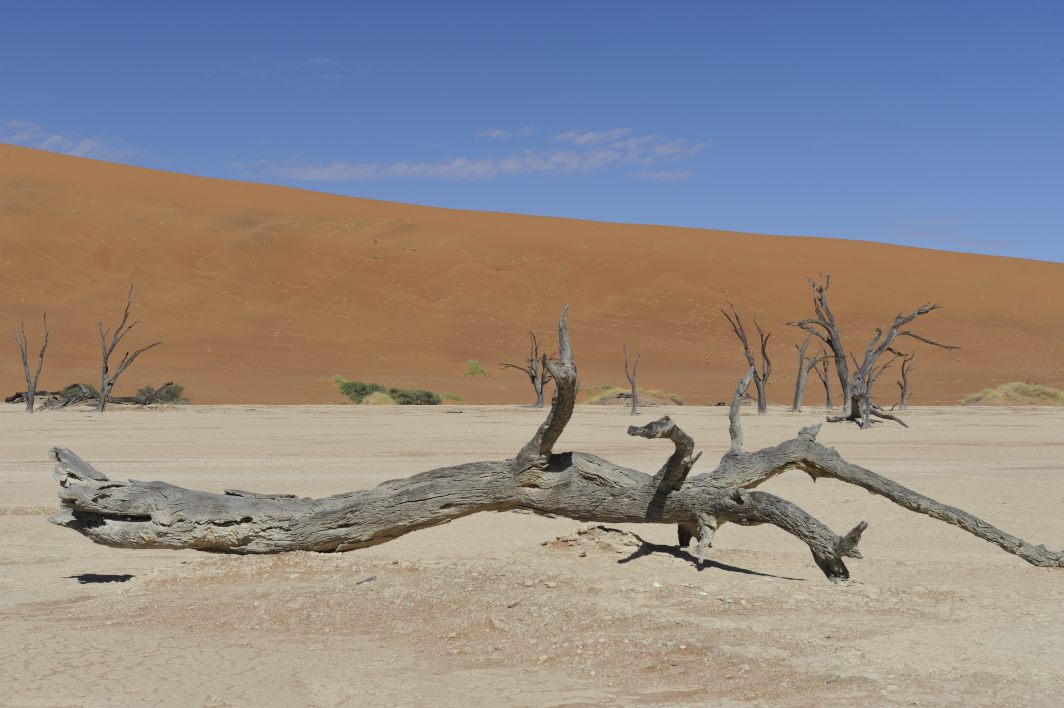 Dead Vlei