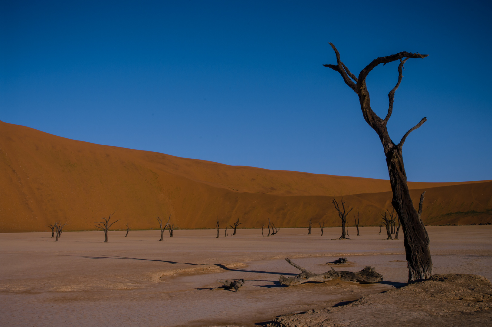 Dead Vlei