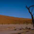 Dead Vlei