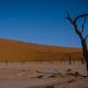 Dead Vlei