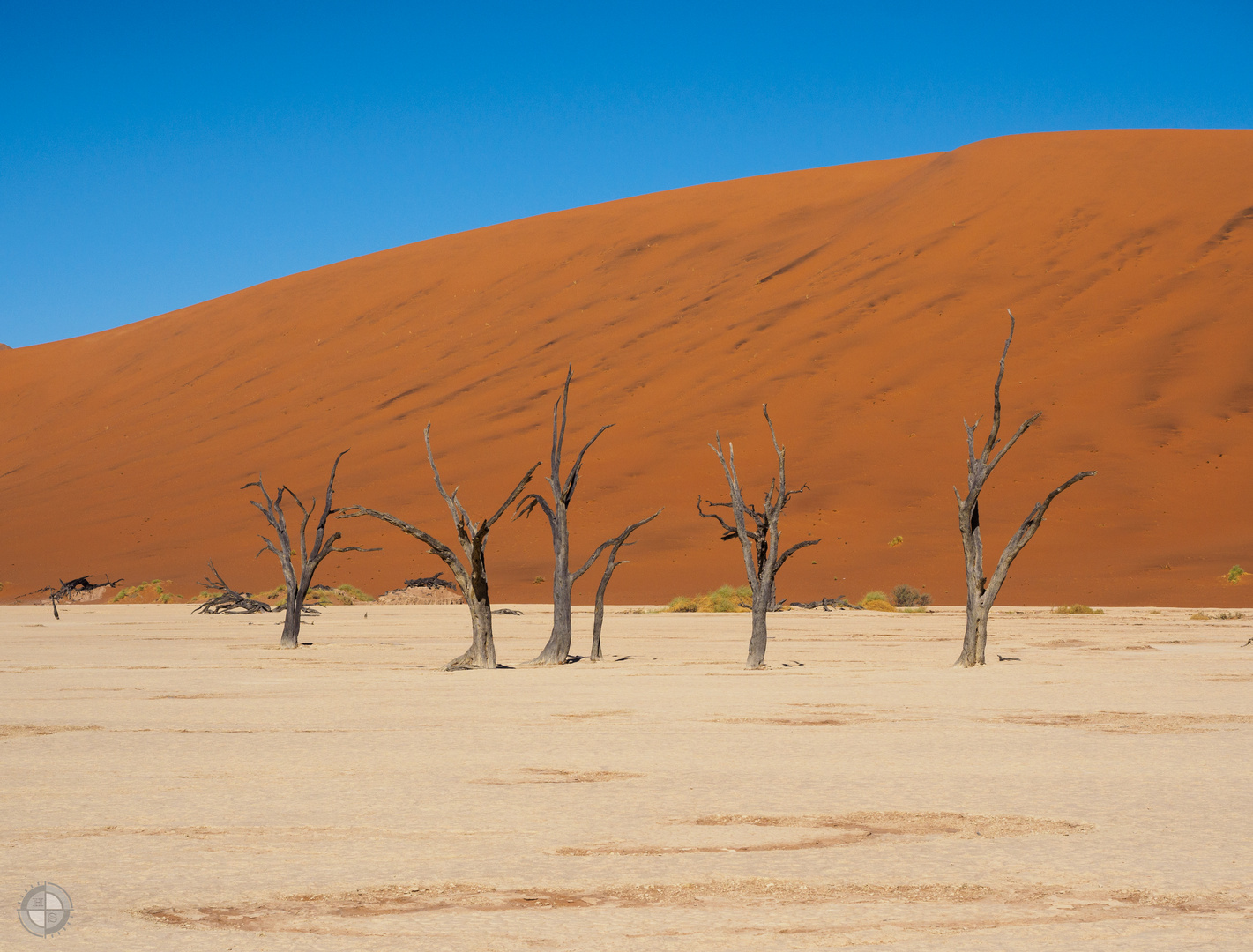 Dead Vlei