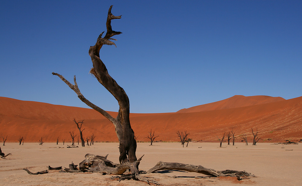 Dead Vlei