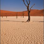 DEAD VLEI CLASSIC