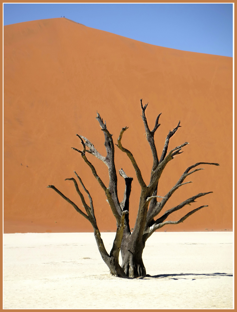 Dead Vlei 