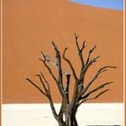 Dead Vlei 