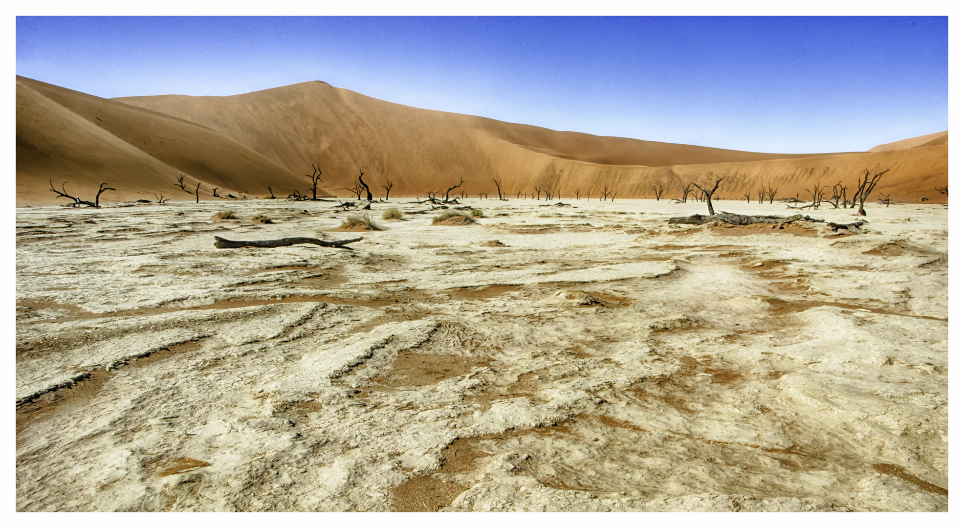 Dead Vlei