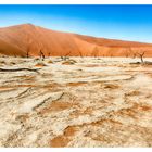 Dead Vlei