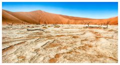 Dead Vlei