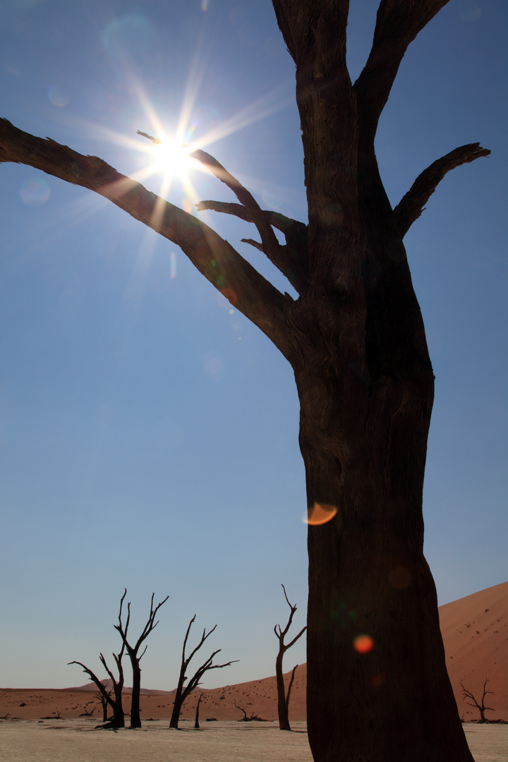 Dead Vlei