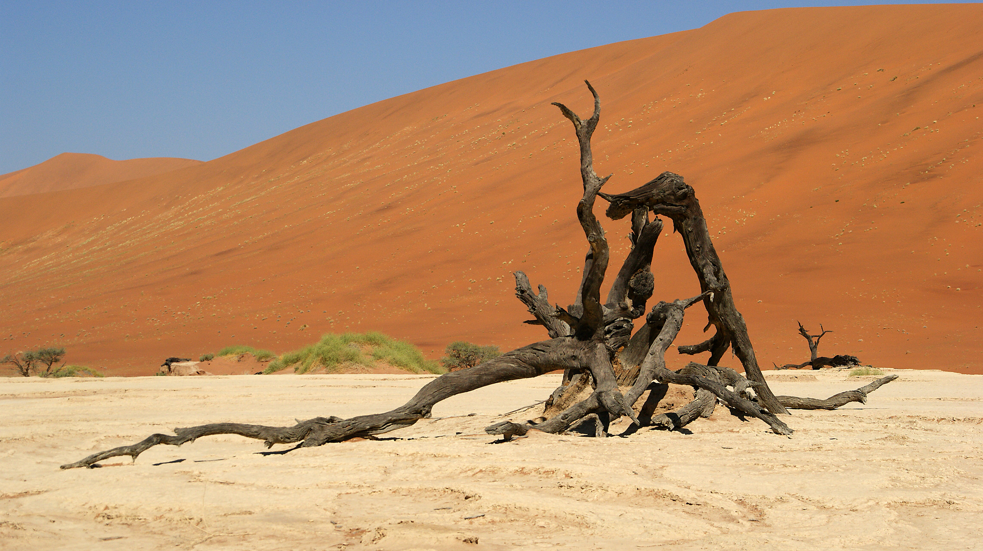 Dead Vlei die 2.