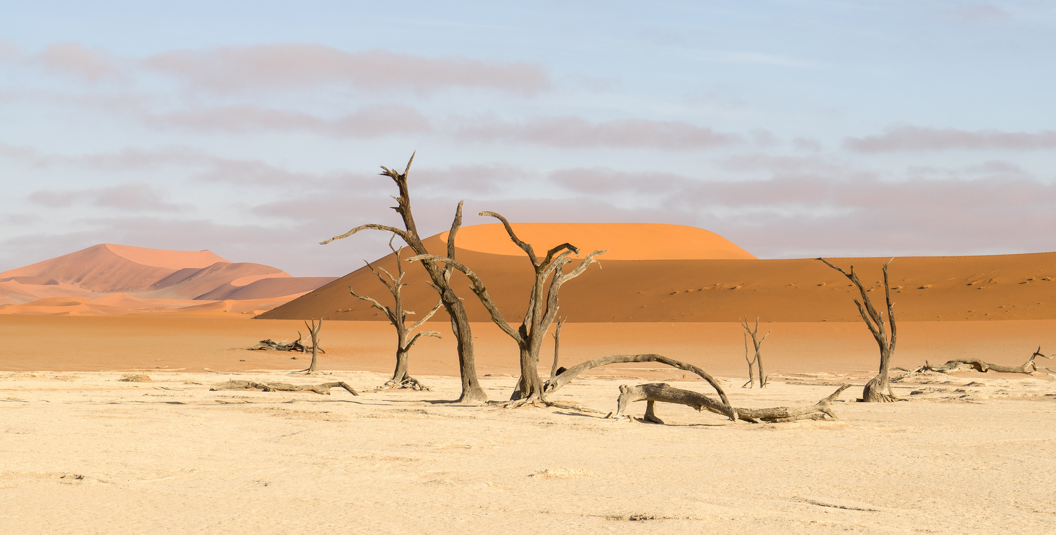 Dead Vlei - Die Einsamen....