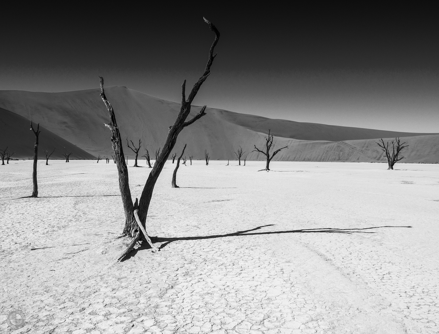 Dead Vlei