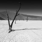 Dead Vlei