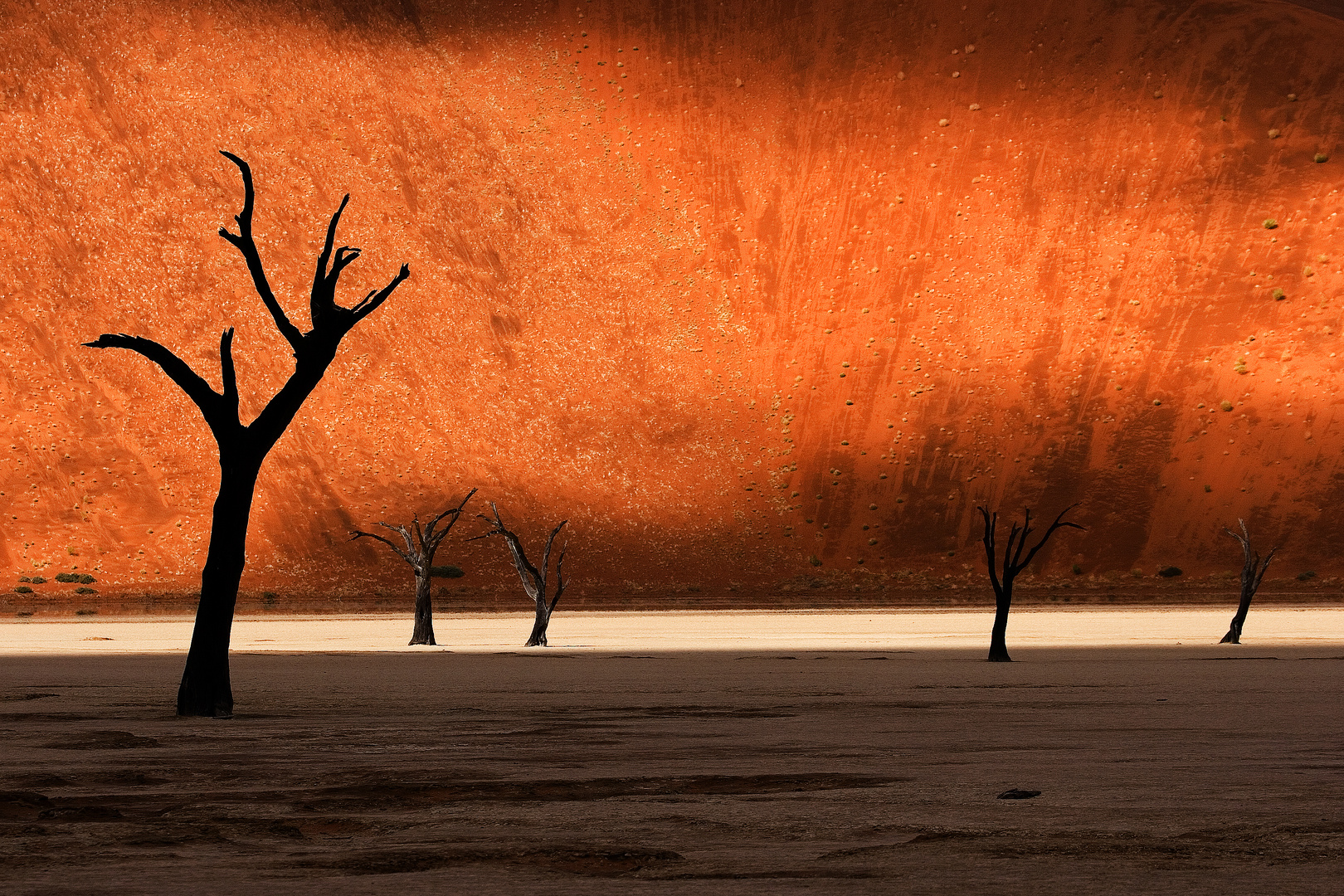 Dead Vlei