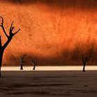 Dead Vlei