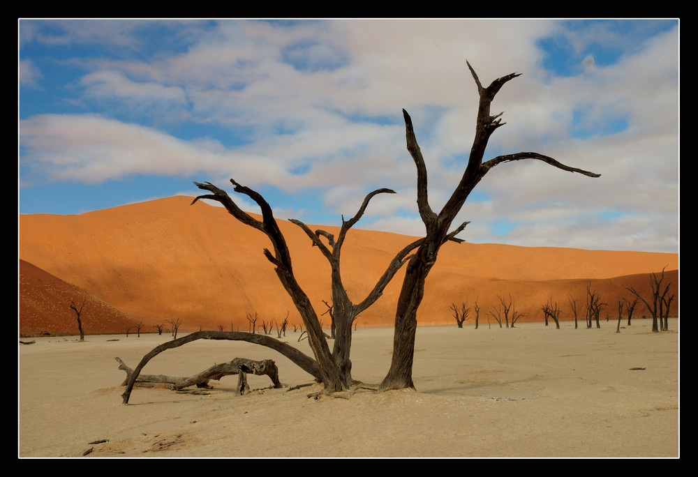 Dead Vlei