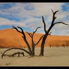 Dead Vlei