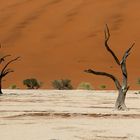 dead vlei