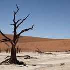 Dead Vlei