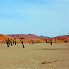 Dead Vlei