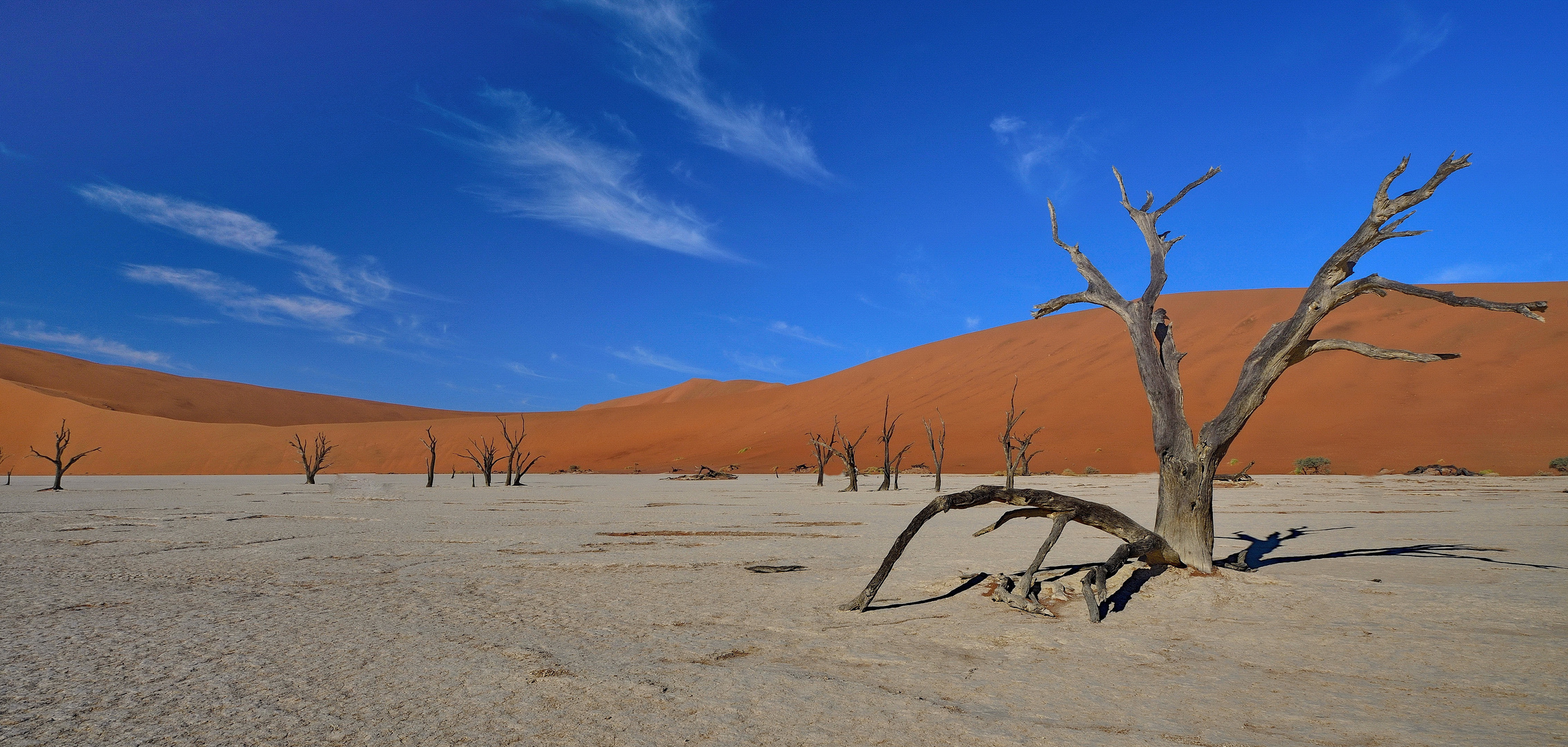 Dead Vlei