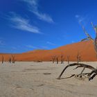 Dead Vlei