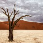 Dead Vlei