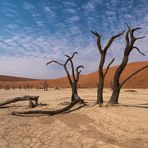 Dead Vlei